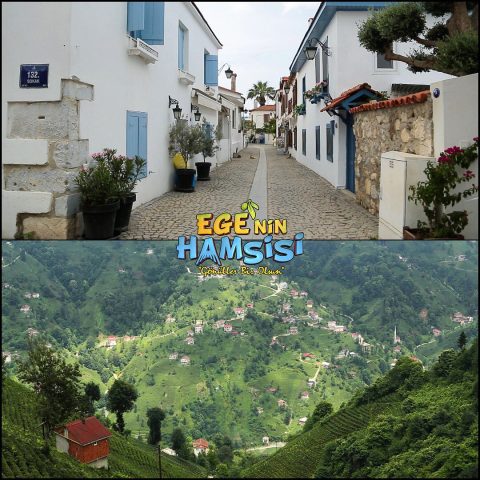 مسلسل سمكة البحر ايجة مترجم